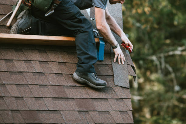 Best Gutter Installation and Roofing  in Paris, TX