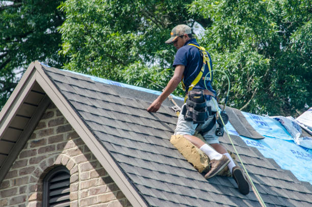 Best Residential Roof Replacement  in Paris, TX