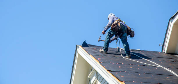 Best Storm Damage Roof Repair  in Paris, TX